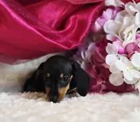 processed/36cee6ff-0d12-4806-8c58-606a1ca5f04d/listing/3f4a078a-e62b-4ede-88d3-7fdb8e0eadfa/28d6e5a1-77c6-469c-85ae-fedc375819e0