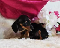 processed/36cee6ff-0d12-4806-8c58-606a1ca5f04d/listing/3f4a078a-e62b-4ede-88d3-7fdb8e0eadfa/3f6d395f-e9ff-48d6-ba99-9245f2754cad