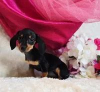 processed/36cee6ff-0d12-4806-8c58-606a1ca5f04d/listing/3f4a078a-e62b-4ede-88d3-7fdb8e0eadfa/5f808a3b-3c4f-4d3e-9aa4-b27afcfdb000