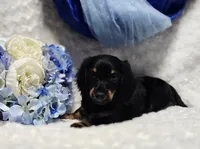 processed/36cee6ff-0d12-4806-8c58-606a1ca5f04d/listing/6e8235d2-80b3-482f-82cd-563e991385d3/0e305f9b-1b91-4dce-ba06-62556c01ab1f