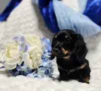 processed/36cee6ff-0d12-4806-8c58-606a1ca5f04d/listing/6e8235d2-80b3-482f-82cd-563e991385d3/2f0f61bb-a2ca-4d9d-93f7-847c5ffe2c35