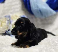 processed/36cee6ff-0d12-4806-8c58-606a1ca5f04d/listing/6e8235d2-80b3-482f-82cd-563e991385d3/402f9e1e-d329-41fd-ae2b-8421005b801b