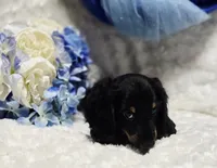 processed/36cee6ff-0d12-4806-8c58-606a1ca5f04d/listing/6e8235d2-80b3-482f-82cd-563e991385d3/46f566ed-1528-4c74-8c2d-0f9a2beb72e8