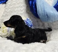 processed/36cee6ff-0d12-4806-8c58-606a1ca5f04d/listing/6e8235d2-80b3-482f-82cd-563e991385d3/5b750655-2e03-438c-b3d1-c748266dd861