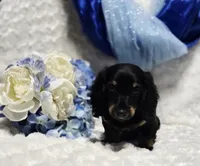 processed/36cee6ff-0d12-4806-8c58-606a1ca5f04d/listing/6e8235d2-80b3-482f-82cd-563e991385d3/5c3884fb-bc88-460d-8599-8f0eda62e56e