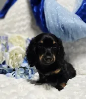 processed/36cee6ff-0d12-4806-8c58-606a1ca5f04d/listing/6e8235d2-80b3-482f-82cd-563e991385d3/5c70f510-51e7-43ce-a0fd-787491ca9a68