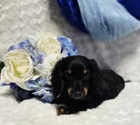 processed/36cee6ff-0d12-4806-8c58-606a1ca5f04d/listing/6e8235d2-80b3-482f-82cd-563e991385d3/8f842866-ba9c-438e-98e7-98082dbcb59a