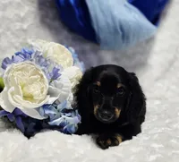 processed/36cee6ff-0d12-4806-8c58-606a1ca5f04d/listing/6e8235d2-80b3-482f-82cd-563e991385d3/a8296205-ba07-49d1-80ef-db66cbefaf12