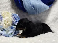 processed/36cee6ff-0d12-4806-8c58-606a1ca5f04d/listing/6e8235d2-80b3-482f-82cd-563e991385d3/e1563bbe-5d4c-45e1-a501-31446aadbe88