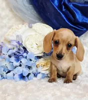 processed/36cee6ff-0d12-4806-8c58-606a1ca5f04d/listing/7ff72b0e-59c2-4d28-9470-67921bb0100d/6470fce9-b26a-4a8f-b61d-d19ea0b9a985