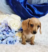 processed/36cee6ff-0d12-4806-8c58-606a1ca5f04d/listing/7ff72b0e-59c2-4d28-9470-67921bb0100d/82314a60-b420-4e2d-b140-f62ccba57792