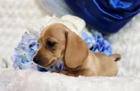 processed/36cee6ff-0d12-4806-8c58-606a1ca5f04d/listing/7ff72b0e-59c2-4d28-9470-67921bb0100d/b41a45d2-52fe-4d2a-9bfe-7c22f75a37a6