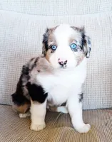 processed/36cee6ff-0d12-4806-8c58-606a1ca5f04d/listing/9464d45e-bddb-412e-956b-0b927dad2bad/5d3e890b-06f5-4455-ba01-ba0ede511189