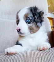 processed/36cee6ff-0d12-4806-8c58-606a1ca5f04d/listing/9464d45e-bddb-412e-956b-0b927dad2bad/6e677c3f-d15d-4744-b9bc-93d5dfd39f7a