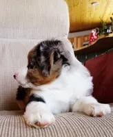 processed/36cee6ff-0d12-4806-8c58-606a1ca5f04d/listing/9464d45e-bddb-412e-956b-0b927dad2bad/7bec338c-53e7-47cb-96ab-ddba47c23e6a