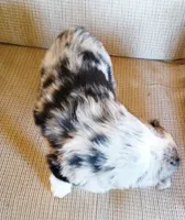 processed/36cee6ff-0d12-4806-8c58-606a1ca5f04d/listing/9464d45e-bddb-412e-956b-0b927dad2bad/82b479df-34a6-476b-ac1a-e485b0ae2805