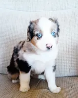 processed/36cee6ff-0d12-4806-8c58-606a1ca5f04d/listing/9464d45e-bddb-412e-956b-0b927dad2bad/84ea88d3-04a9-4630-924e-d3505356621c