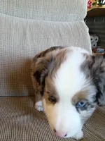 processed/36cee6ff-0d12-4806-8c58-606a1ca5f04d/listing/9464d45e-bddb-412e-956b-0b927dad2bad/a9f014be-b68e-43ff-90ed-b46c88acfc70