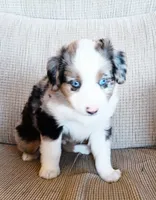 processed/36cee6ff-0d12-4806-8c58-606a1ca5f04d/listing/9464d45e-bddb-412e-956b-0b927dad2bad/ff2b3c46-0e6c-49c4-9b33-210b11dab525