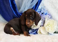 processed/36cee6ff-0d12-4806-8c58-606a1ca5f04d/listing/9f370723-418e-45b5-b6f9-ae00d615479e/053f2b83-1366-448b-93b6-72798a78ced9