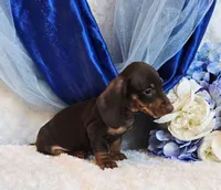 processed/36cee6ff-0d12-4806-8c58-606a1ca5f04d/listing/9f370723-418e-45b5-b6f9-ae00d615479e/129758b3-e7e9-4ca9-856d-3b674439c2e4