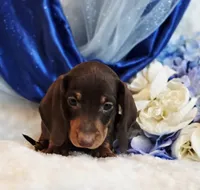 processed/36cee6ff-0d12-4806-8c58-606a1ca5f04d/listing/9f370723-418e-45b5-b6f9-ae00d615479e/1c3f9194-3f14-495d-9621-809b20263ced