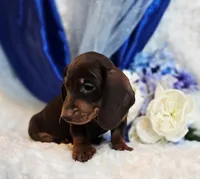 processed/36cee6ff-0d12-4806-8c58-606a1ca5f04d/listing/9f370723-418e-45b5-b6f9-ae00d615479e/273ec7b3-f6f2-4c60-8a7e-525a591189fd