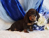 processed/36cee6ff-0d12-4806-8c58-606a1ca5f04d/listing/9f370723-418e-45b5-b6f9-ae00d615479e/824fcda3-0992-4833-8d22-bc965aac39a3