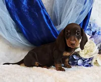 processed/36cee6ff-0d12-4806-8c58-606a1ca5f04d/listing/9f370723-418e-45b5-b6f9-ae00d615479e/ad544de0-a79a-48fa-ae88-e4ee9dbed1ac