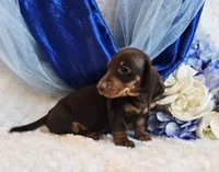 processed/36cee6ff-0d12-4806-8c58-606a1ca5f04d/listing/9f370723-418e-45b5-b6f9-ae00d615479e/c1ab8751-991d-4a57-b313-d6dcd103ef4d