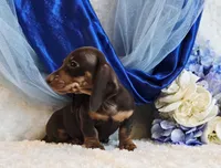 processed/36cee6ff-0d12-4806-8c58-606a1ca5f04d/listing/9f370723-418e-45b5-b6f9-ae00d615479e/d7c8b257-a637-4f79-916f-3f6fe07f9d5b