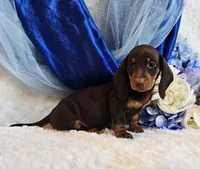 processed/36cee6ff-0d12-4806-8c58-606a1ca5f04d/listing/9f370723-418e-45b5-b6f9-ae00d615479e/e55d659d-e4b1-4eb5-ae73-56aeec7e872c