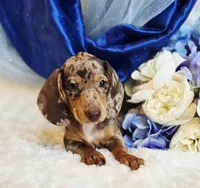 processed/36cee6ff-0d12-4806-8c58-606a1ca5f04d/listing/c3b10101-c907-42e4-be2a-d4ee1ec002db/3ec1ab84-f60a-49c2-8363-b2646670dc91