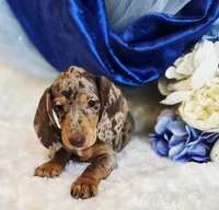 processed/36cee6ff-0d12-4806-8c58-606a1ca5f04d/listing/c3b10101-c907-42e4-be2a-d4ee1ec002db/666f04df-e180-4a18-9b8d-f45b5e62443a