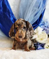 processed/36cee6ff-0d12-4806-8c58-606a1ca5f04d/listing/c3b10101-c907-42e4-be2a-d4ee1ec002db/c8fbe303-33d1-409f-aae2-e2e11253c0a4