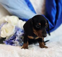 processed/36cee6ff-0d12-4806-8c58-606a1ca5f04d/listing/d7d20de5-24eb-4b20-9c85-e7f3d6b6f584/084daf4b-9c4c-4ca2-92e2-ebbd04e186a1