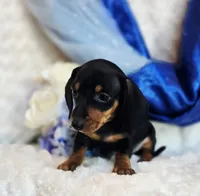 processed/36cee6ff-0d12-4806-8c58-606a1ca5f04d/listing/d7d20de5-24eb-4b20-9c85-e7f3d6b6f584/879a055d-cfa8-4b3c-98c6-46aa6eff2e0d