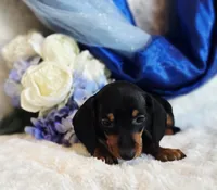 processed/36cee6ff-0d12-4806-8c58-606a1ca5f04d/listing/d7d20de5-24eb-4b20-9c85-e7f3d6b6f584/9074f352-56d3-47a4-836a-754137ee2296