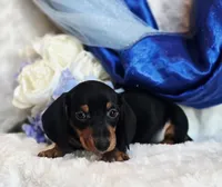 processed/36cee6ff-0d12-4806-8c58-606a1ca5f04d/listing/d7d20de5-24eb-4b20-9c85-e7f3d6b6f584/9b1478b9-b868-44c3-b41e-eae678b336cb