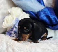 processed/36cee6ff-0d12-4806-8c58-606a1ca5f04d/listing/d7d20de5-24eb-4b20-9c85-e7f3d6b6f584/9fbccb42-d77e-42a5-a382-f3166b35d896