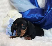 processed/36cee6ff-0d12-4806-8c58-606a1ca5f04d/listing/d7d20de5-24eb-4b20-9c85-e7f3d6b6f584/d07fcbb9-a07e-4eb0-80ef-fbd682c7e933