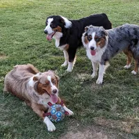 processed/36d50b9e-12b4-498c-812a-34cd7f5c4393/facility/273ea17f-ecee-4176-974a-3df37cb24c1f