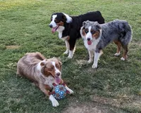 processed/36d50b9e-12b4-498c-812a-34cd7f5c4393/facility/273ea17f-ecee-4176-974a-3df37cb24c1f