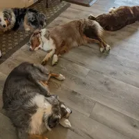 processed/36d50b9e-12b4-498c-812a-34cd7f5c4393/facility/32a43810-5002-457f-8029-b64a3b1a18f1