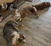 processed/36d50b9e-12b4-498c-812a-34cd7f5c4393/facility/32a43810-5002-457f-8029-b64a3b1a18f1