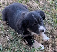 processed/36d50b9e-12b4-498c-812a-34cd7f5c4393/listing/2dd3c7bf-a39f-485f-88ba-16825148facc/0da49cf4-629e-4720-8adf-dd89490c45fb