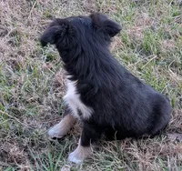 processed/36d50b9e-12b4-498c-812a-34cd7f5c4393/listing/2dd3c7bf-a39f-485f-88ba-16825148facc/586e6967-aaad-4759-a997-6bffe9bbd27b