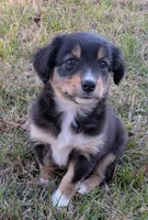 processed/36d50b9e-12b4-498c-812a-34cd7f5c4393/listing/2ff27677-1981-4199-85b9-c272bbf6a7e4/3c0e1bf5-f8be-4138-8675-e141742d0324