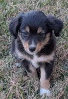 processed/36d50b9e-12b4-498c-812a-34cd7f5c4393/listing/2ff27677-1981-4199-85b9-c272bbf6a7e4/ad8913c3-b711-4633-bc6b-16b2fe2a848a