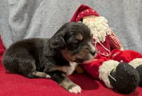 processed/36d50b9e-12b4-498c-812a-34cd7f5c4393/listing/2ff27677-1981-4199-85b9-c272bbf6a7e4/bd03bae2-a67b-4b6c-8cdd-2cb3bbe41f4e